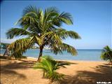 Jobos Beach - ISABELA
